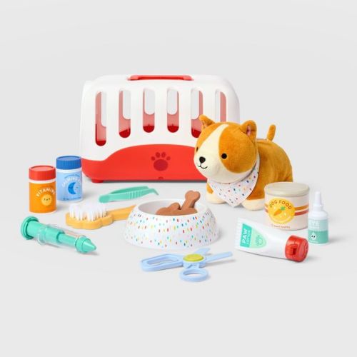Vet Play Set - 22pc - Gigglescape™