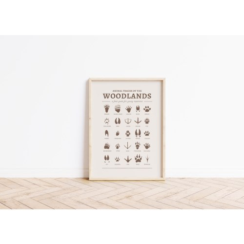 Animal tracks nursery print, Woodland nursery decor, Wall art, Boys room decor, Kids room poster UNFRAMED