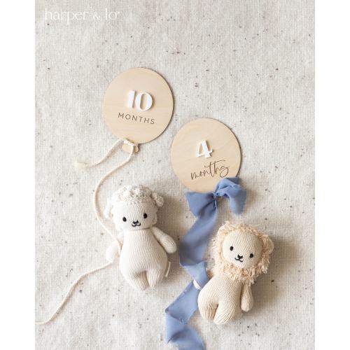 Wooden Baby Milestone Cards | Hot Air Balloon | Custom Milestone Set | Interchangeable Milestone Cards, Wood Baby Monthly Milestone Markers