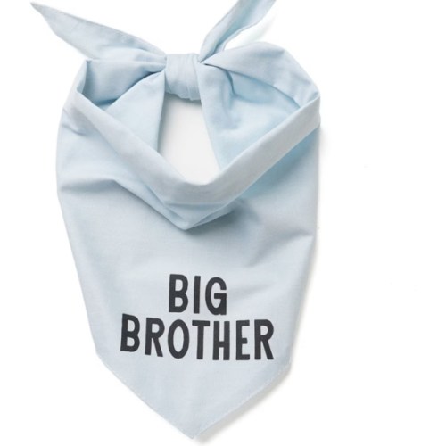 THE PAWS My Big Brother Dog Bandana, Blue, Small - Chewy.com