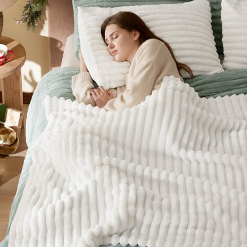 Bedsure Twin Blanket for Couch - GentleSoft Cozy Soft Blankets for Women, Cute Small Fleece Throws for Girls, Off White, 60x80 Inches