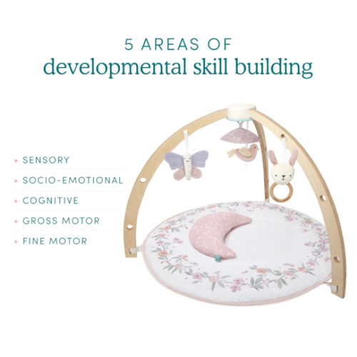 Baby Gym | Premium Baby Activity Gym | aden + anais
