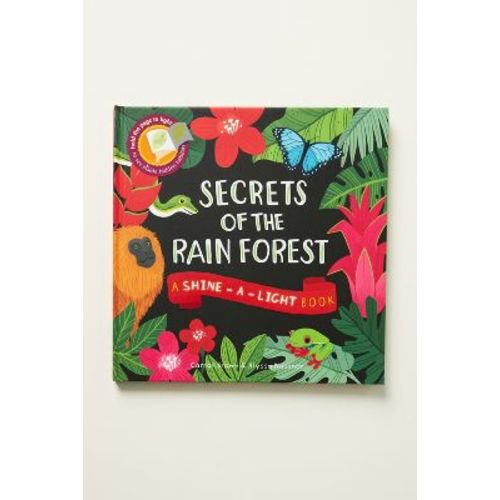 Secrets of the Rain Forest (Shine-A-Light Series)