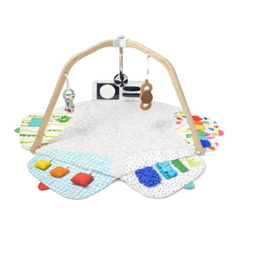Love Everly Play Gym