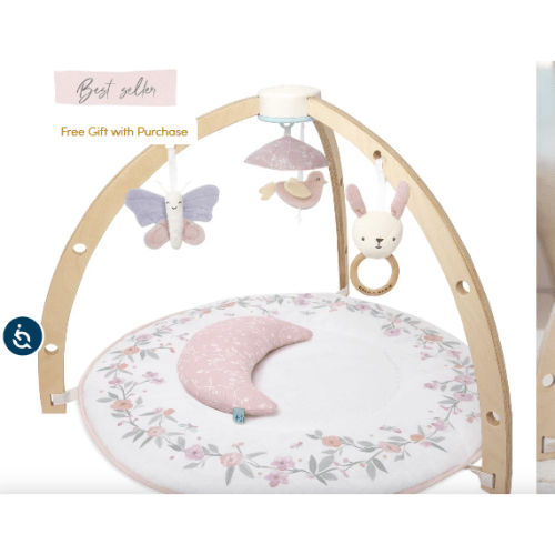 Baby Gym | Premium Baby Activity Gym | aden + anais