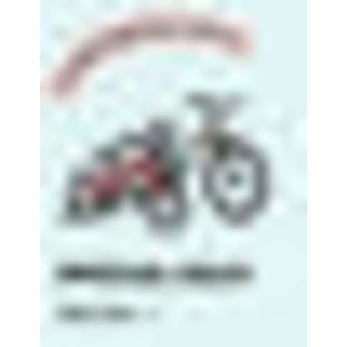 Toddler Bike 14 inch For 3 - 5 Years Old | Glerc Bikes-Little Molly – GLERC BIKES