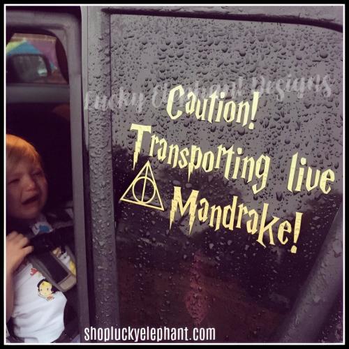 Transporting Live Mandrake Car Decal