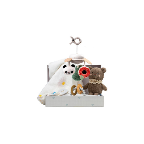 Taf Toys Luxury Newborn Kit