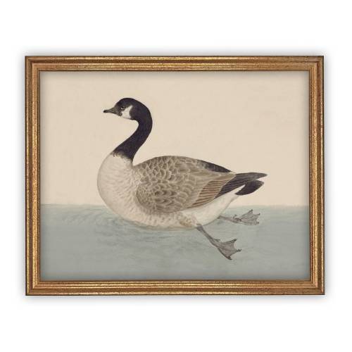 Vintage Framed Canvas Art // Framed Vintage Print // Vintage Painting // Duck Art // Kids Room or Nursery print //#A-105