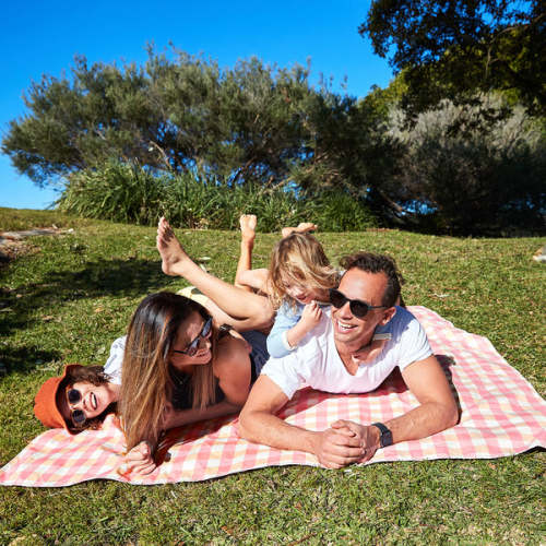Strawberries and Cream XL Picnic Blanket
