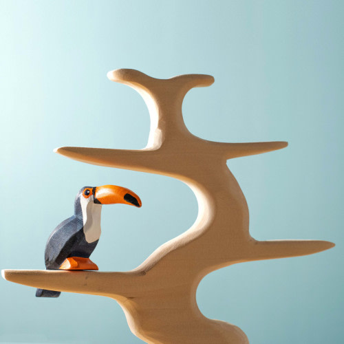 Toucan Sitting