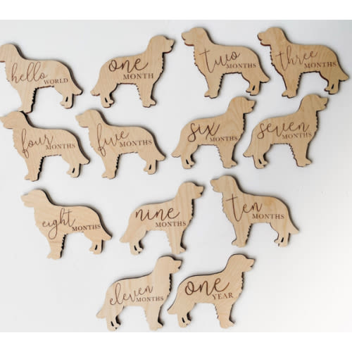 Dog Nursery Golden Retriever Monthly Milestone Plaques | Baby Shower Gift | Custom Golden Retriever Newborn Baby Gift for Dog Nursery