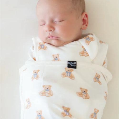 Sleep Bag Swaddler in Teddy Bear 1.0