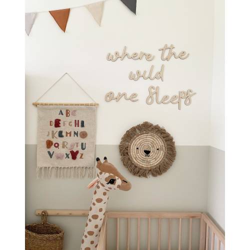 Where The Wild One Sleeps Signage