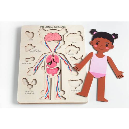 Learning human body - Internal organs, Medical Pretend play Doctor set, Montessori toys, Anatomy teacher gifts, Gift for kids gifts toddler