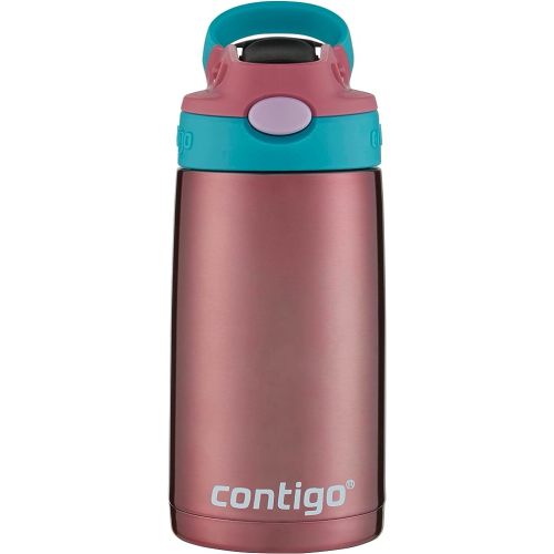 Contigo Kids Straw Stainless Steel Water Bottle with AUTOSPOUT Lid 13oz Punch