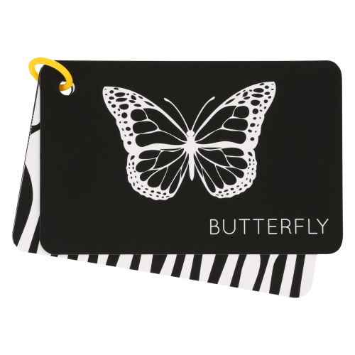High-Contrast Vision Development Cards