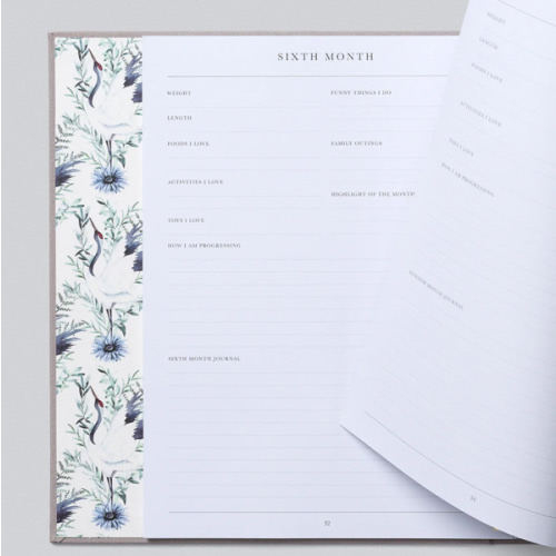 Baby. Your First Five Years. Light Grey - Write To Me US