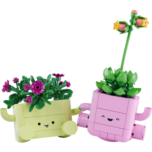 Rocking Plants