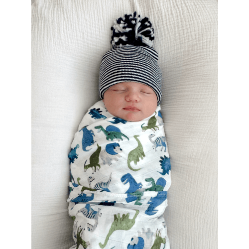 Muslin Swaddle, Painterly Dinos