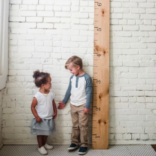 Personalized Wooden Growth Chart