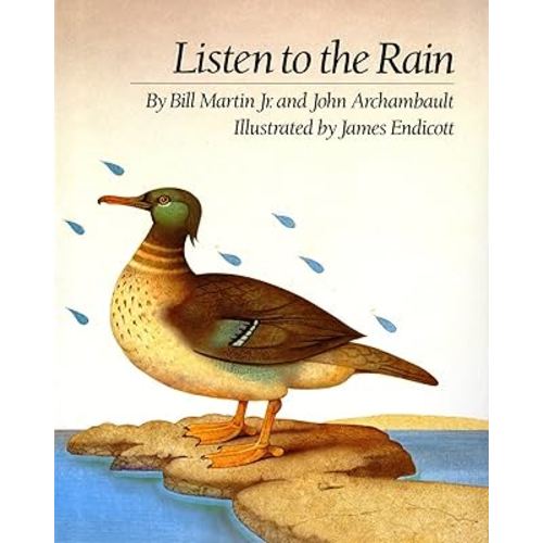 Listen to the Rain