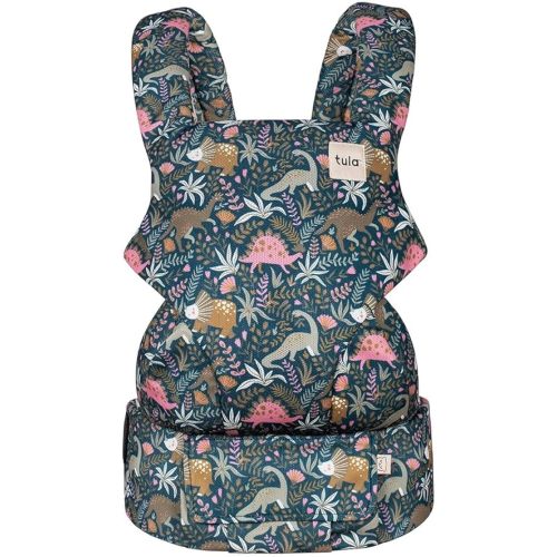 Baby Tula Explore Mesh Baby Carrier - 7-45 lb, Adjustable Newborn to Toddler, Multiple Ergonomic Positions Front and Back, Breathable and Cool - Coast + Mesh, Land Before Tula