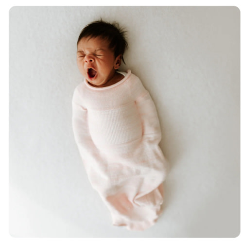 Pink Swaddle Sleep Sack – Swaddelini