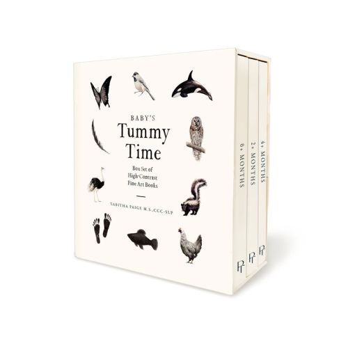 Baby's Tummy Time Book Box Set - (our Little Adventures) By Tabitha Paige (mixed Media Product)