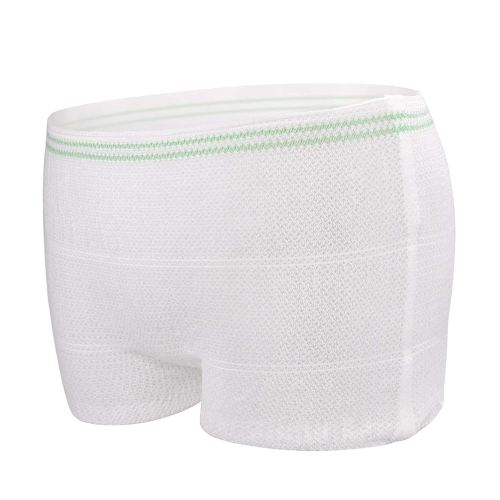 Disposable Mesh Panties 20 Count Mesh Postpartum Underwear Maternity Underwear Postpartum for Women Carer Soft, Breathable, Stretchy Briefs X-Large