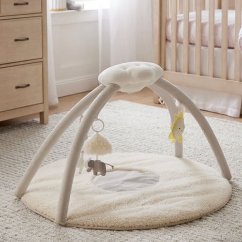 Light-Up & Musical Activity Play Gym