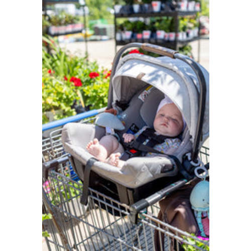 Totes Babies Car Seat Carrier