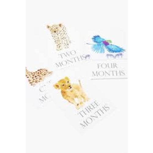 Baby Month Cards