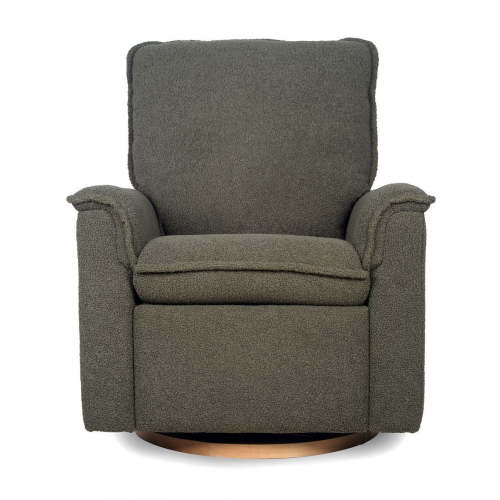 Anza Power Recliner