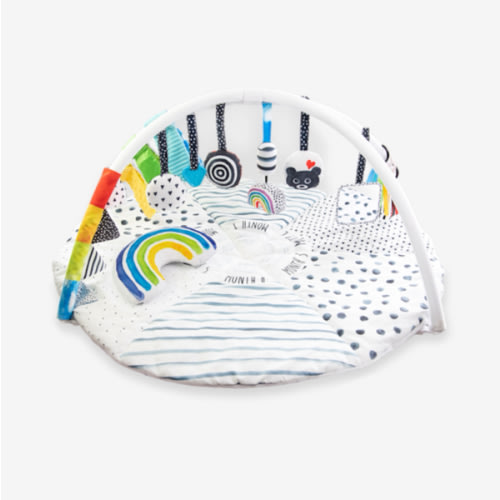 Sassy Stages STEM Developmental Play Gym, Sensory Tummy Time Activity Play Mat w/Built-in Instructions, Ultra Plush & Machine Washable Playmat for Babies & Toddlers, 0+ Months