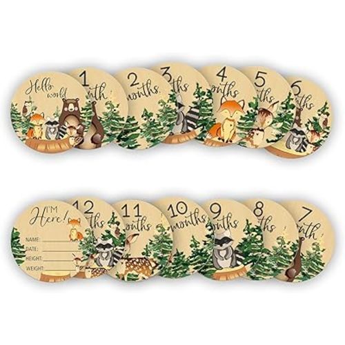 Baby Monthly Milestone Wooden Circles with Announcement Sign, Jungle Animals Wooden Discs for Baby Photo Taken with Hello World Signs - 14 Sides Round Circles Signs for documenting Growth