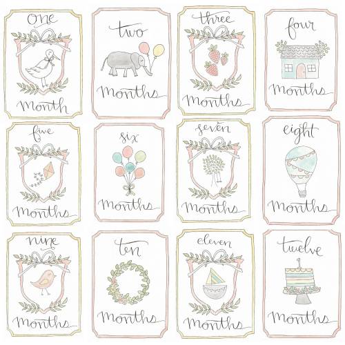 Girl Watercolor Milestone Cards | Baby Gift | New Mom | Gift Ideas | Baby Shower | Baby Month Cards | Memories | Baby Girl