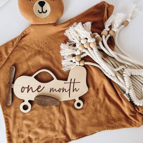 Airplane Nursery Decor| Airplane Milestone| Photography Prop| Vintage Plane Decor| Baby shower Gift| New Mom Gift | New Baby
