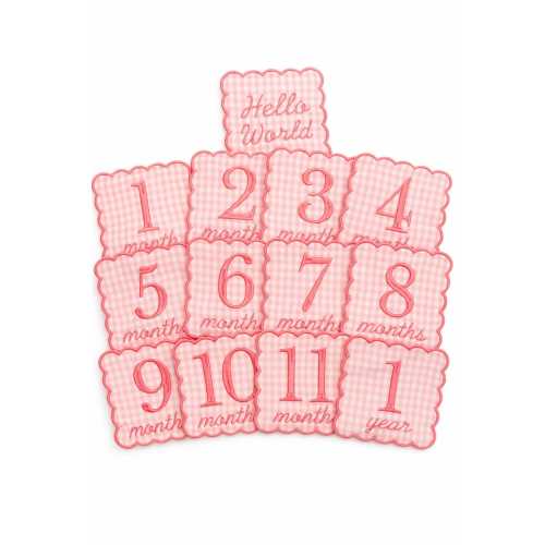 Embroidered Baby Milestone Patches | Pink Gingham Photo Props + Birth Announcement