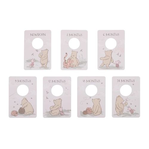 NoJo Disney Classic Winnie The Pooh Ivory, Tan, and Sage Nursery Baby Closet Dividers - Set of 7 Newborn to 24 Months