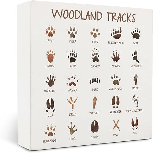 Animal Footprints Tracks Wooden Box Sign,Animal Tracks Field Guide Sign,Forest Nursery Decor,Jungle Nursery Decor For Kids 5x5 Inches