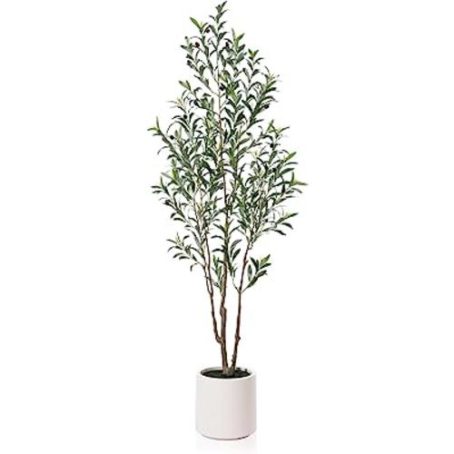 LOMANTO Artificial Olive Trees, 6 ft Tall Fake Olive Trees for Indoor, Faux Olive Silk Tree, Large Olive Plants with White Planter for Home Decor and Housewarming Gift, 1 Pack