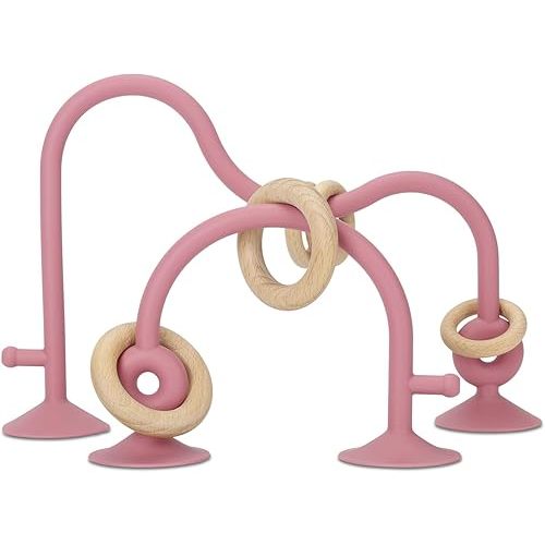 Socub Silicone Baby Sensory Toys, Montessori Educational Toys for Baby 6 12 18 Months, Parent-Child Toys with Suction Cup, 2 Pack(Dark Pink), Medium, TR063