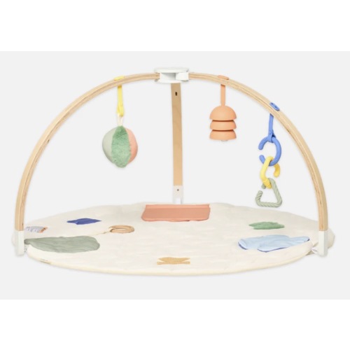 The Play Gym II