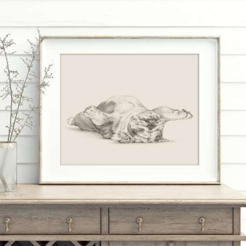 English Bulldog Fine Art Print -Bulldog Sketch by Ethan Harper, Home Decor, Nursery Decor, Gift for Dog Lovers, Wall Art Illustration