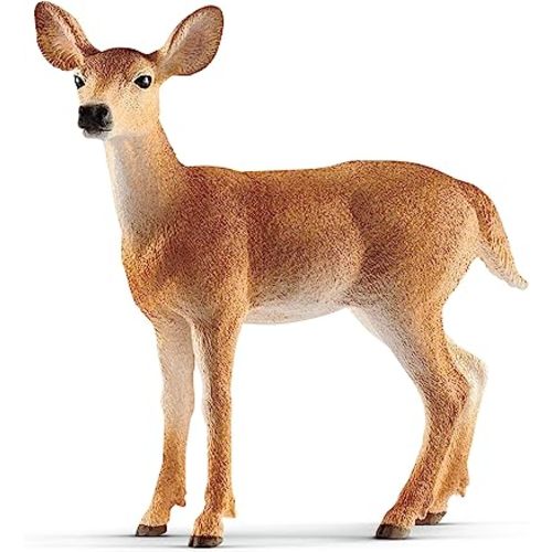 Schleich Wild Life, Animal Figurine, Animal Toys for Boys and Girls 3-8 Years Old, White-Tailed Doe, Ages 3+