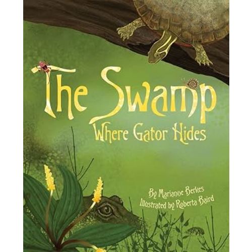 The Swamp Where Gator Hides