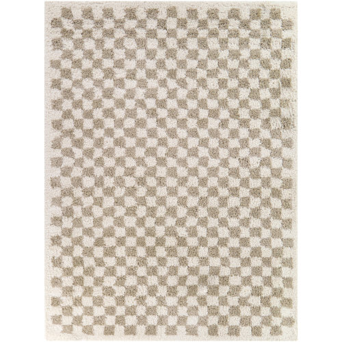 Walker Beige Checkered Shag Area Rug