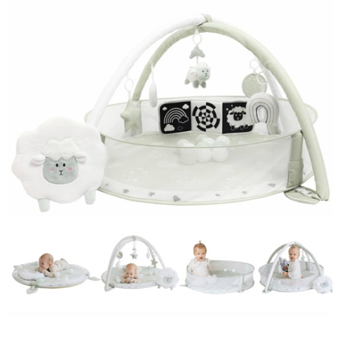 6-in-1 XL Play Mat & Play Gym, Baby Gym, Baby Activity Gym, Sensory Exploration and Motor Skill Development Toys (Sage)