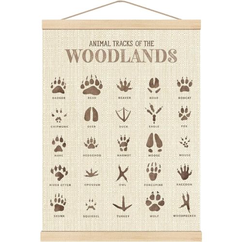 Boat Wades Animal Footprints Poster Hanger Frame, Kids Bathroom Playroom Decor, Footprints Nursery Hanging Banner Wall Art Decor for Toddler Kids Girl Boy Room Classroom, 12x16 Inch